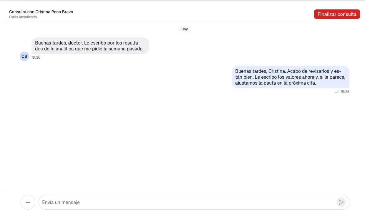 Chat consultation in the software: conversation between doctor and patient
