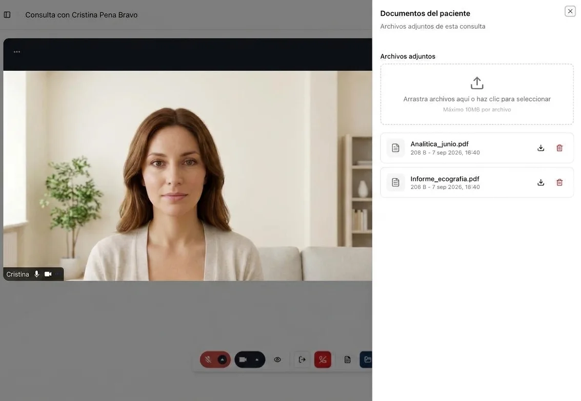 The consultation as the doctor sees it: patient video, the visit’s attached documents and the controls